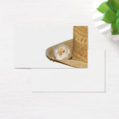 Cowboy baby chick profile card (Desk)