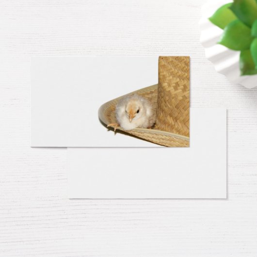 Cowboy baby chick profile card (Desk)