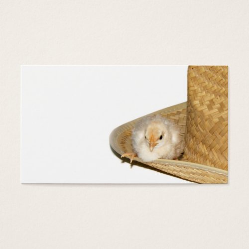 Cowboy baby chick profile card business cards