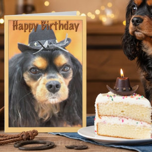 Cowboy Cavalier King Charles Spaniel Birthday Card
