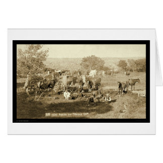 Cowboy Chuckwagon SD 1887 Cards