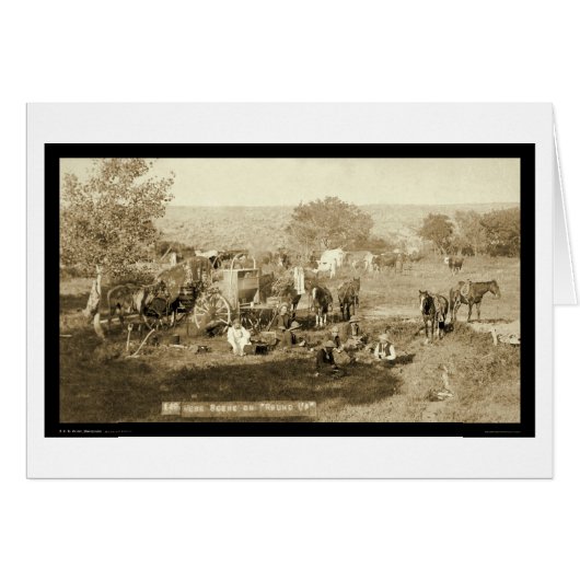 Cowboy Chuckwagon SD 1887 Cards (Front Horizontal)