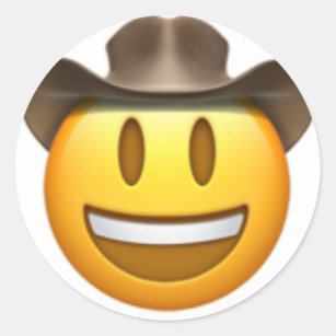 cowboy hat emoji pillow