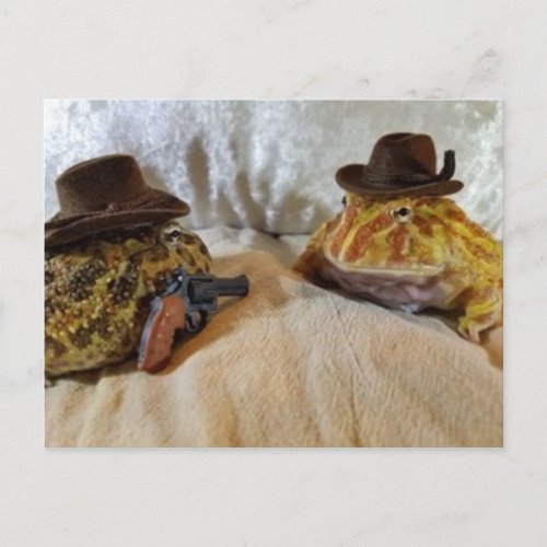 Cowboy Frogs Postcard