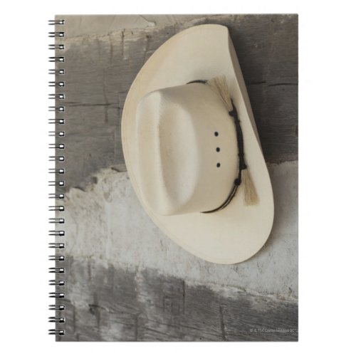 Cowboy hat hanging on wall of log cabin notebook