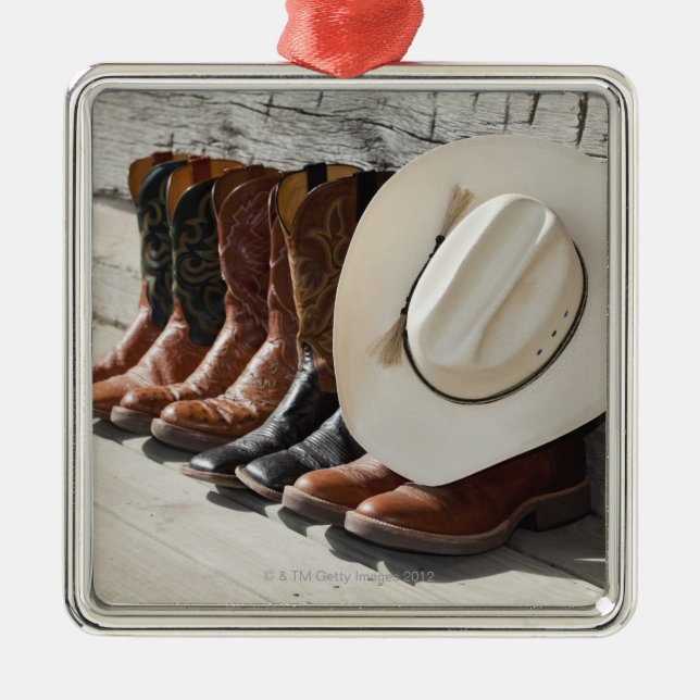 Cowboy hat on row of cowboy boots outside a log metal ornament (Front)