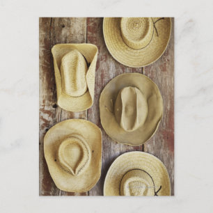 Cowboy Hats Postcard