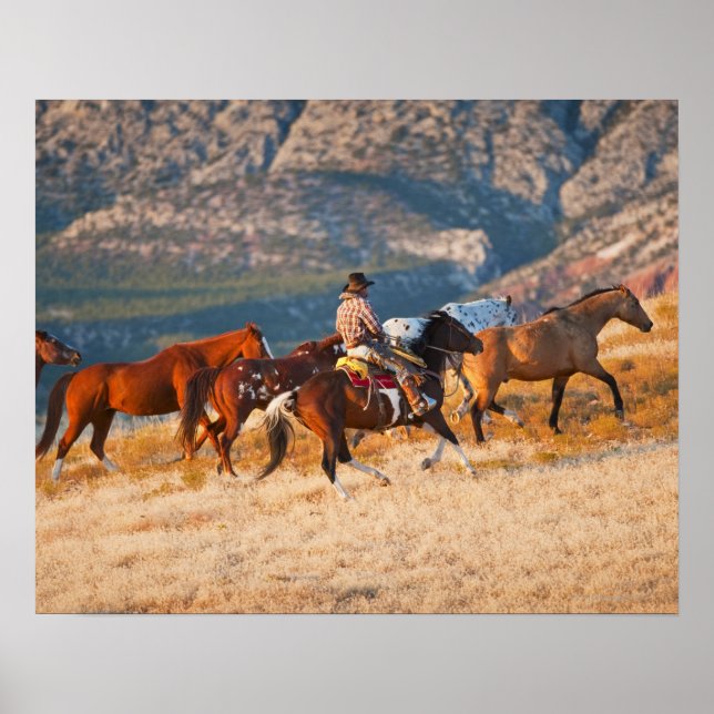 Cowboy herding wild horses 2 poster (Front)