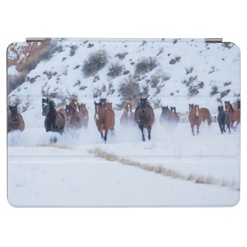 Cowboy Horse Drive  Hideout Ranch Shell Wyoming iPad Air Cover