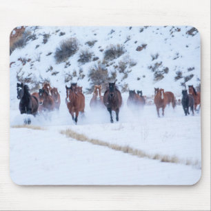 Cowboy Horse Drive Hideout Ranch Shell, Wyoming Mouse Pad