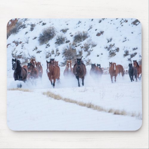 Cowboy Horse Drive  Hideout Ranch Shell Wyoming Mouse Pad