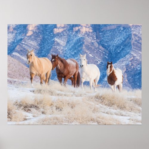 Cowboy Horse Drive on Hideout Ranch Poster