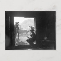 Cowboy in a doorway with horses postcard