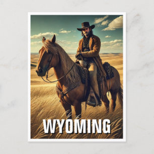 Cowboy in Wyoming Travel Souvenir Postcard
