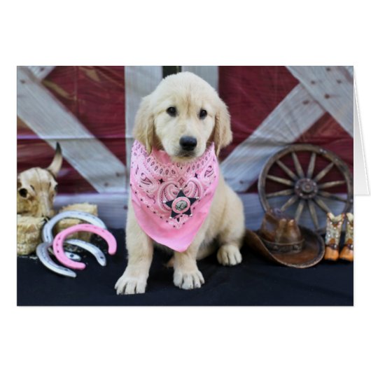 Cowboy Lucy (Front Horizontal)