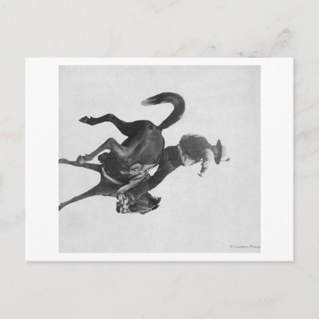 Cowboy Ned Coy Riding Bucking Bronco Named Postcard (Front)