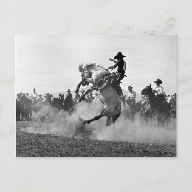Cowboy on a bucking bronco postcard (Front)