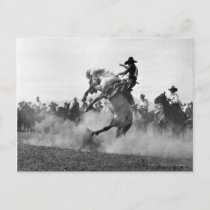 Cowboy on a bucking bronco postcard