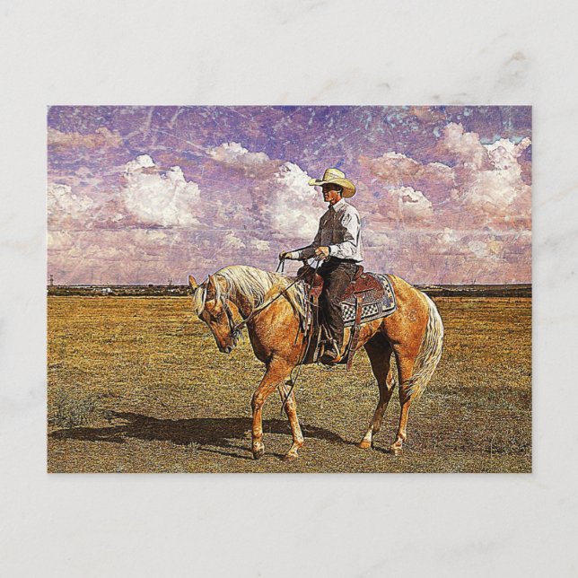 Cowboy on a palomino horse postcard (Front)