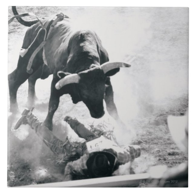 Cowboy on ground after falling off bull ceramic tile (Front)