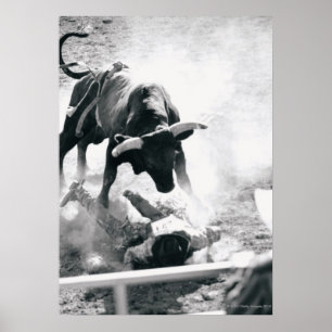 Cowboy on ground after falling off bull poster