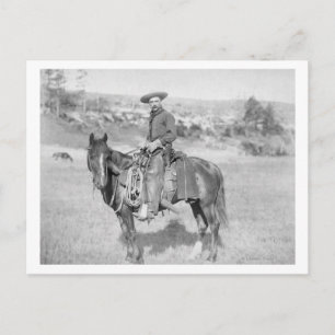 Cowboy on His Horse PhotographSouth Dakota Postcard