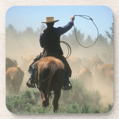 Cowboy on horse with lasso driving cattle beverage coaster