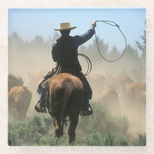 Cowboy on horse with lasso driving cattle glass coaster