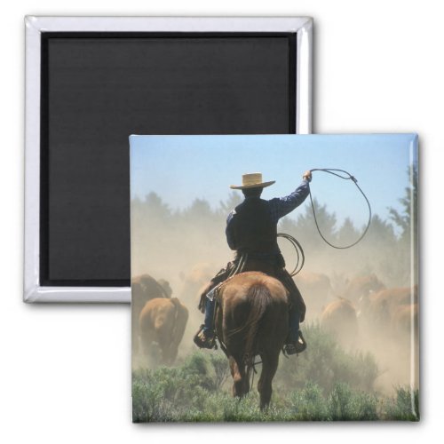 Cowboy on horse with lasso driving cattle magnet