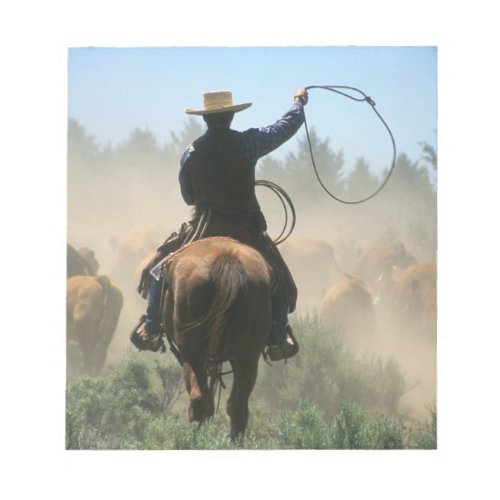 Cowboy on horse with lasso driving cattle notepad