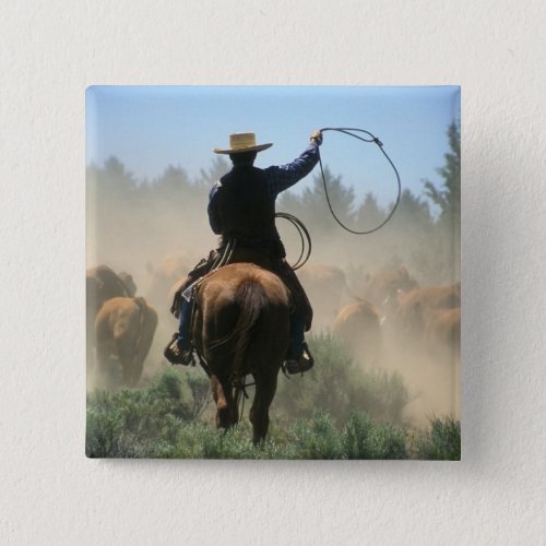 Cowboy on horse with lasso driving cattle pinback button
