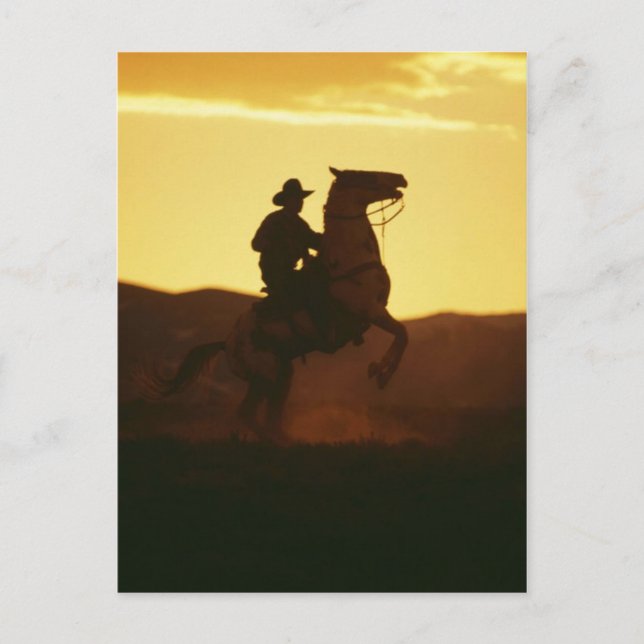 Cowboy on Rearing Horse Postcard (Front)
