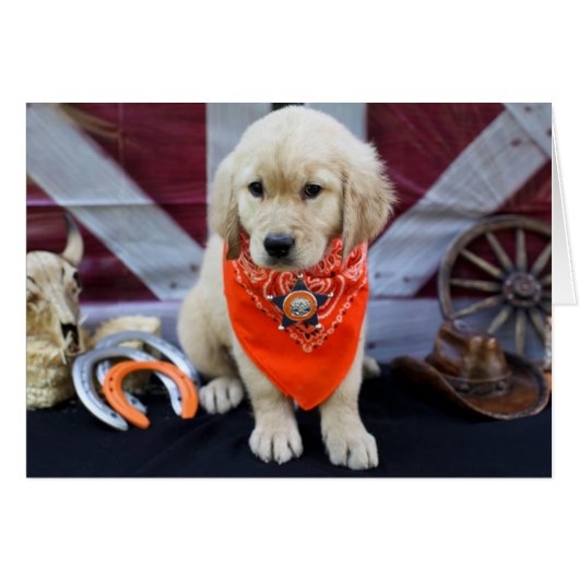 Cowboy Penny (Front Horizontal)