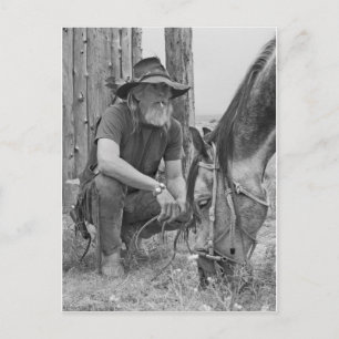 Cowboy Postcard