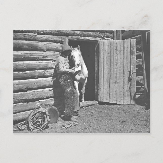 Cowboy reading a letter postcard (Front)
