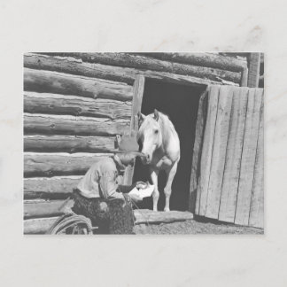 Cowboy reading a letter with a horse postcard