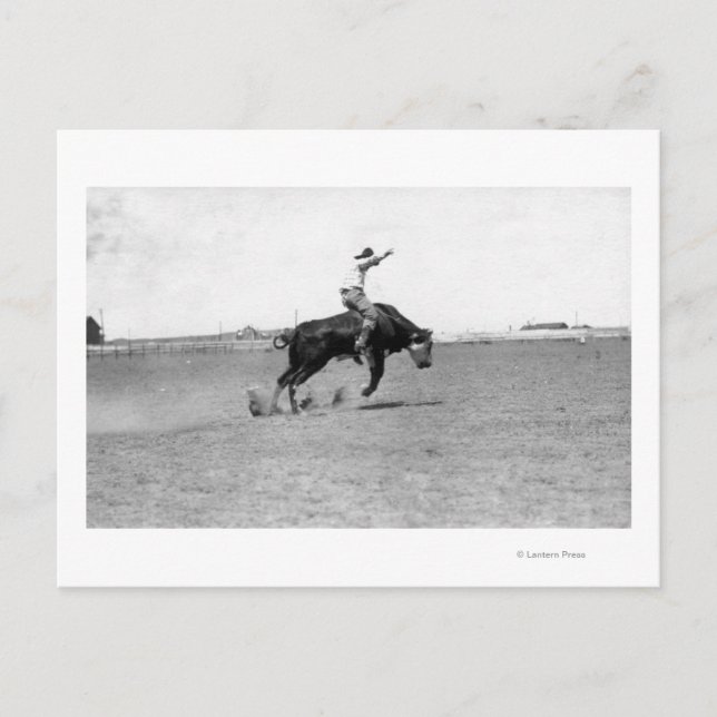 Cowboy Riding a Bucking Bull Postcard (Front)
