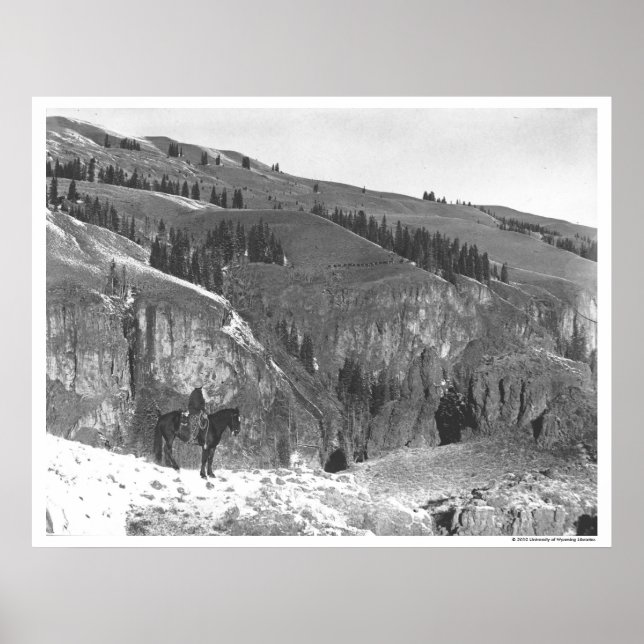 Cowboy separated from his herd. poster (Front)