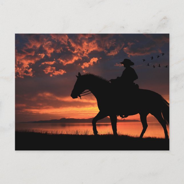 Cowboy Sunset Postcard (Front)