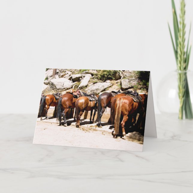 Cowboy Up Get Well Soon Card (Front)