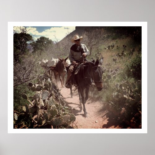 Cowboy Western Wrangler  Poster
