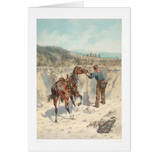 Cowboy with horse in Arroyo... (1324) (Front)