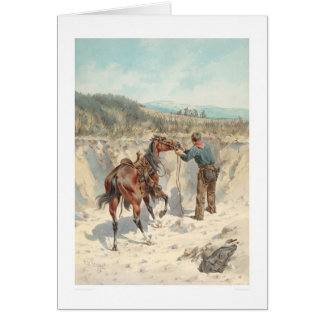Cowboy with horse in Arroyo... (1324) Cards