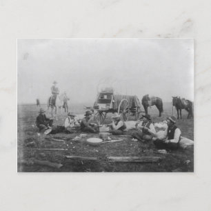 Cowboys Eating Out On The Range Postcard