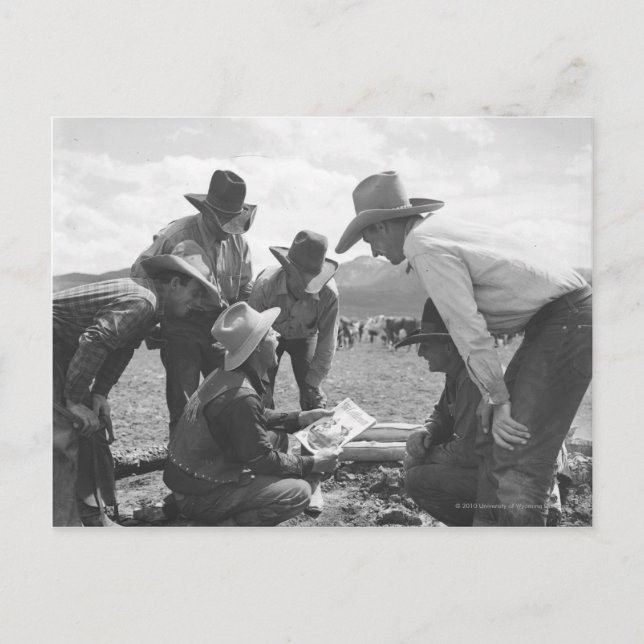 Cowboys looking a magazine postcard (Front)