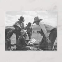 Cowboys looking a magazine