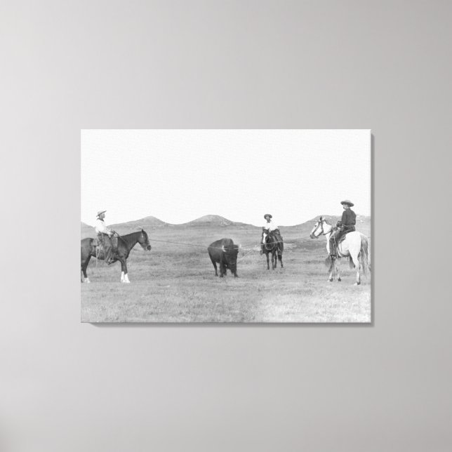 Cowboys on Horses Roping Buffalo Photograph Canvas Print (Front)