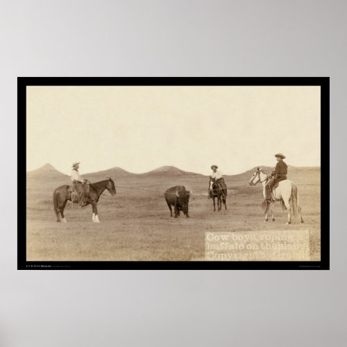 Cowboys Roping A Buffalo SD 1887 Poster