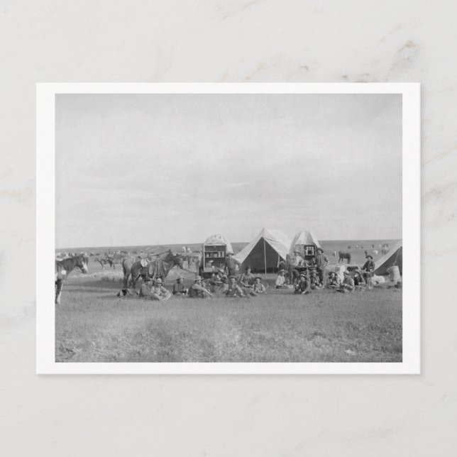 Cowboys Sitting around Chuckwagon Photograph Postcard (Front)