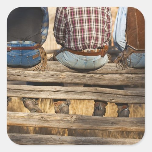 Cowboys sitting on fence square sticker